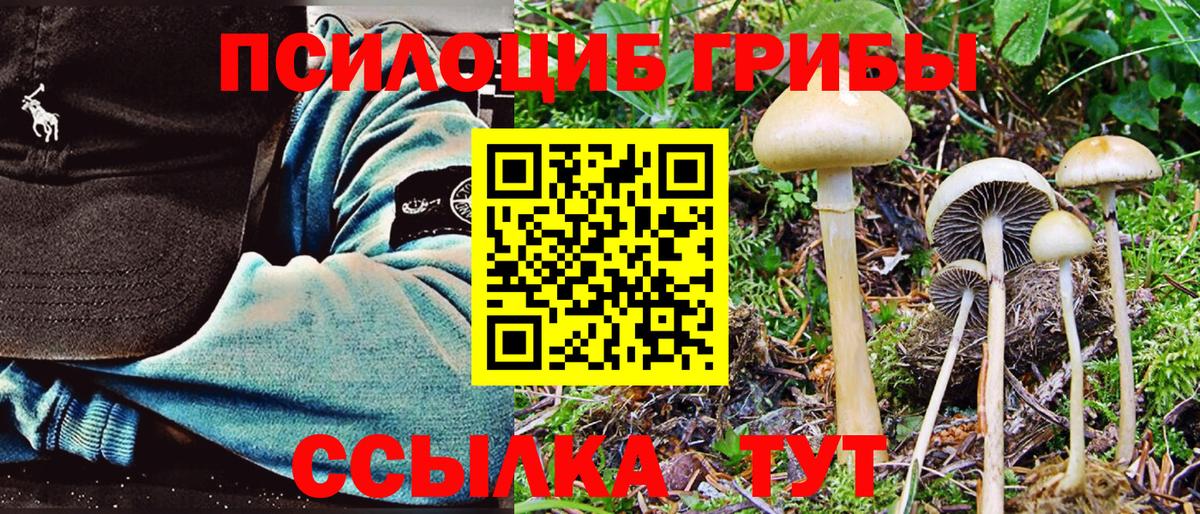 Галлюциногенные грибы Psilocybe  цена наркотик  Энгельс  Вход с VPN 